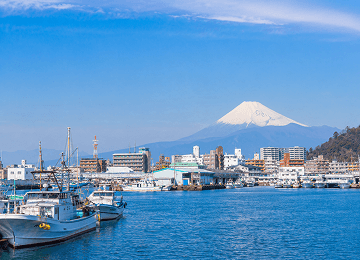 沼津市の街並み